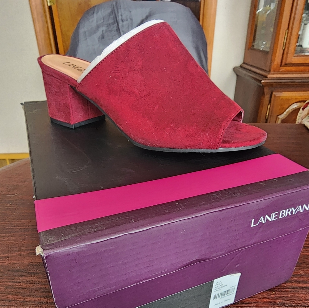 Never Worn Lane Bryant Clog